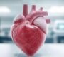O Que e Cardiologia Preventiva clinica pro vida 90x80